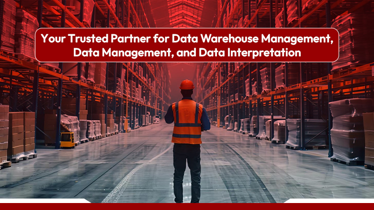 Woodpecker: Your Trusted Partner for Data Warehouse Management, Data Management, and Data Interpretation 